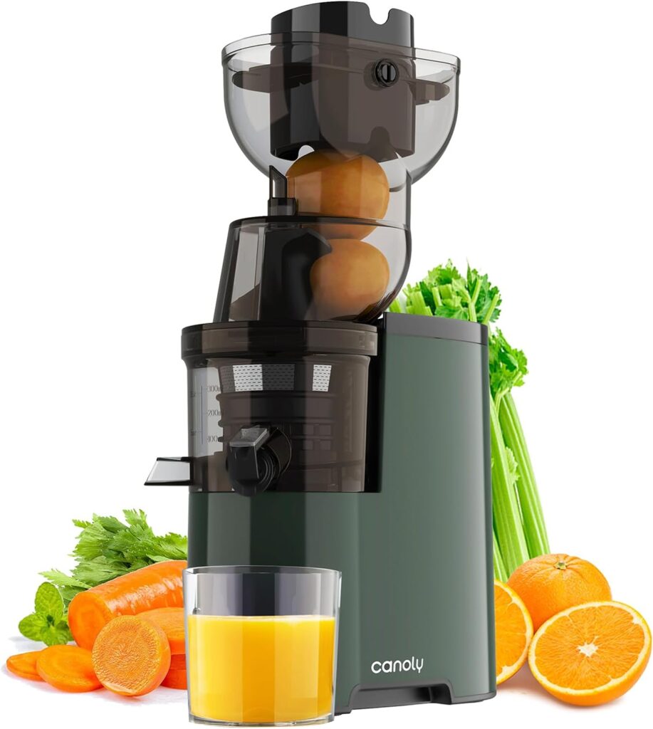 Masticating Juicer Machines, 3.5-inch (88mm) Powerful Slow Cold Press Juicer for ONLY $99.99 (Was $269.99)
