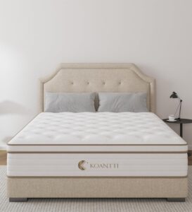 Read more about the article KOANTTI Twin Size Mattress, 10 Inch Twin Hybrid Mattresses, Memory Foam Spring White for ONLY $149.90 (Was $189.75)
