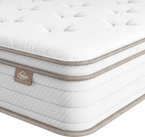 Read more about the article TeQsli Full Mattress 10 Inch, Sleep Cooler Eggshell Memory Foam and 7 Zone Pocket Innerspring for ONLY $188.79 (Was $239.98)