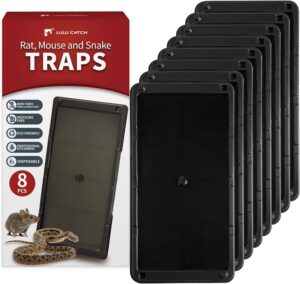 Read more about the article LULUCATCH Super Glue Traps 8 Pack. Sticky Mouse Traps for ONLY $11.99 (Was $14.99)